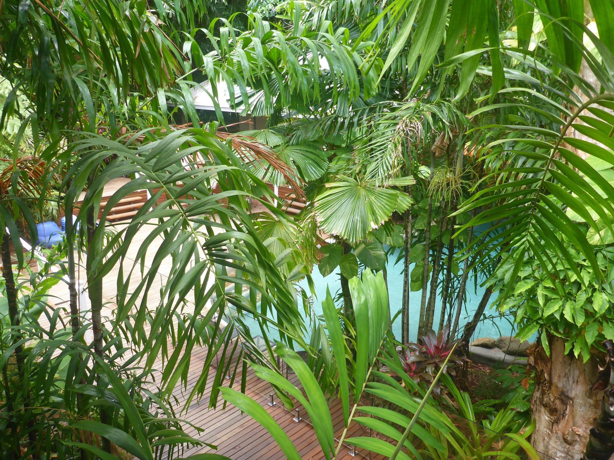 Palm Cove Tropic Apartments Kültér fotó