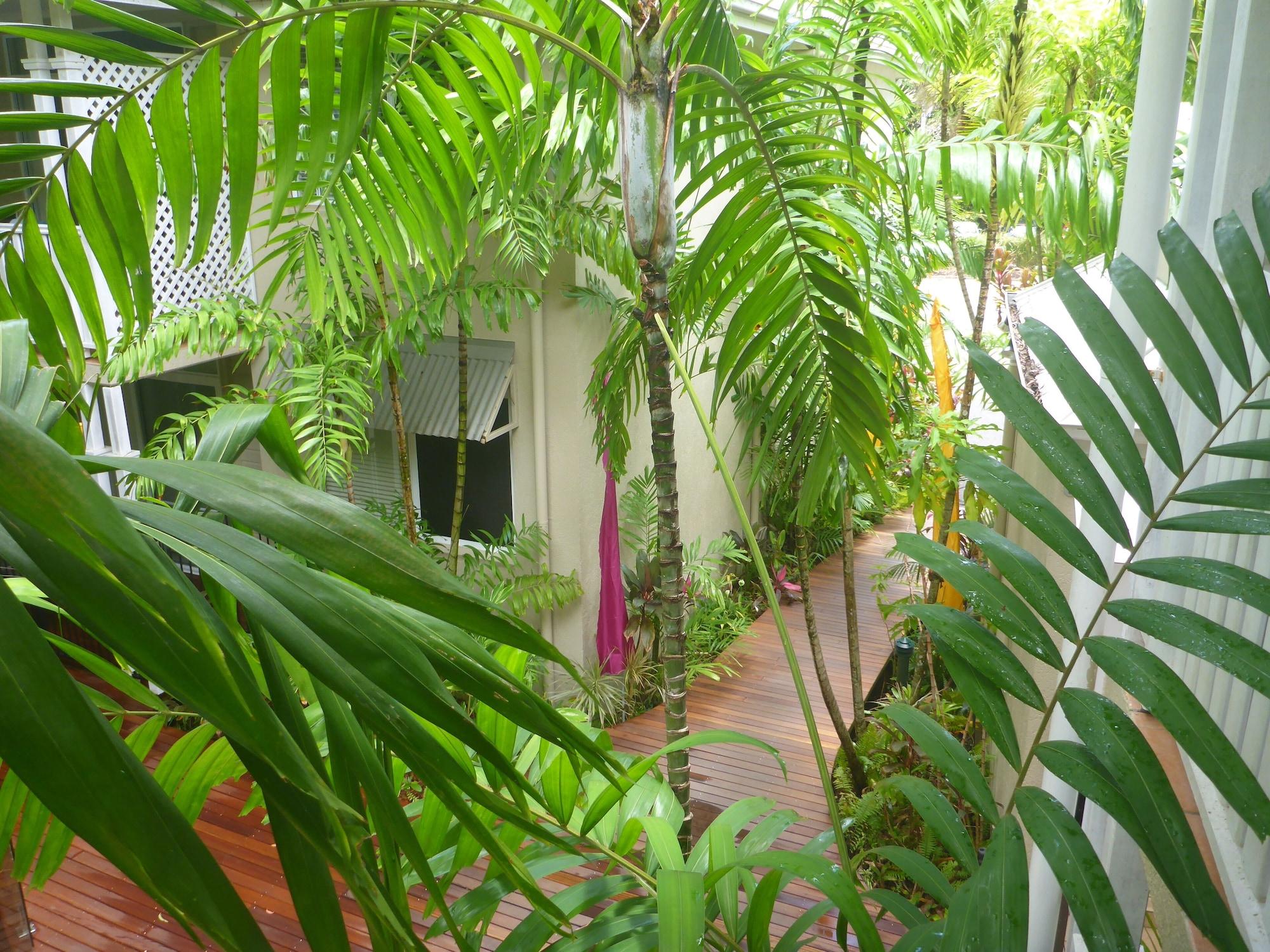 Palm Cove Tropic Apartments Kültér fotó