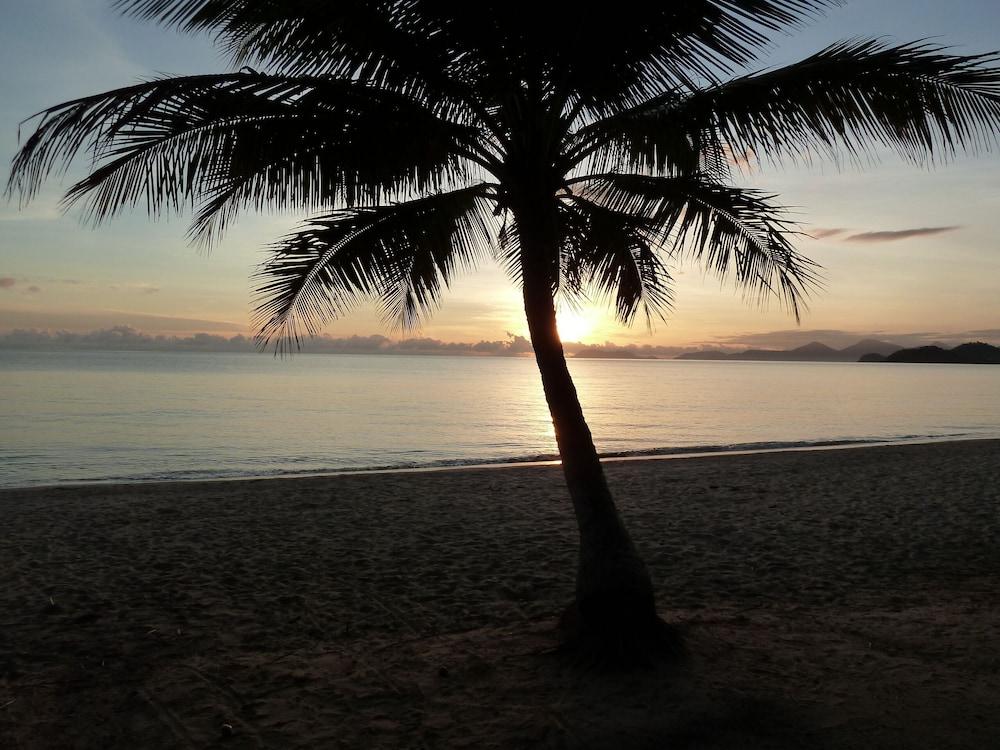 Palm Cove Tropic Apartments Kültér fotó