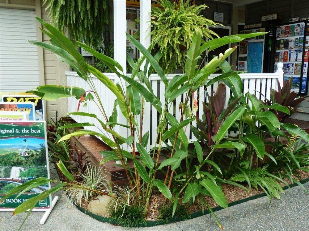 Palm Cove Tropic Apartments Kültér fotó