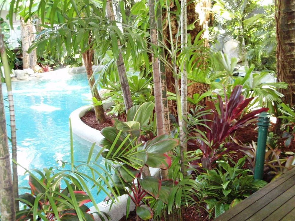 Palm Cove Tropic Apartments Kültér fotó