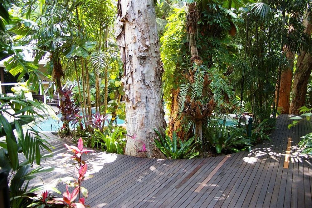 Palm Cove Tropic Apartments Kültér fotó